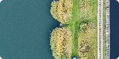Aerial view of a narrow grassy path with tall vegetation on both sides, leading to a small dock extending into blue water. Concrete edge runs along the right side.