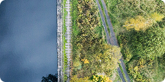 Aerial view of a river on the left, a paved path in the center, and green trees with patches of yellow foliage on the right.
