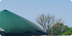 A green, dome-shaped structure with trees and a clear blue sky in the background.